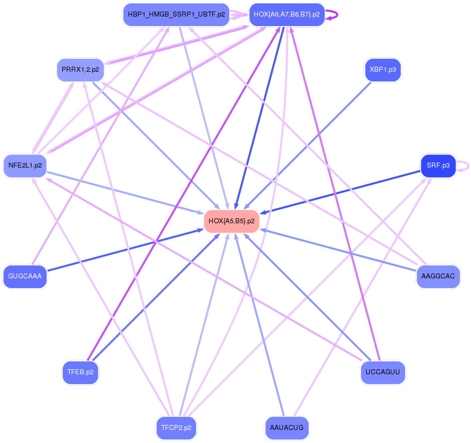 PNG image of the network